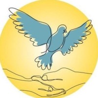 Soul Psychotherapy Institute - מכון סול logo - Similar company to מכון הנרייטה סאלד