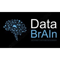 Data Brain logo - Similar company to Databrain
