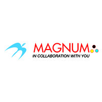 Magnum Group Of Companies logo - Similar company to Dot Professionals
