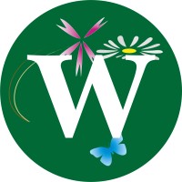 Wildflower Turf Ltd logo - Similar company to Meadow Lab