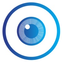 Vision Executives logo - Similar company to Pointsplus