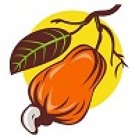 Cashew ERP logo - Similar company to Voodzy Crm