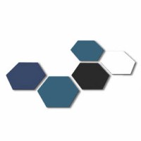 Boson Health logo - Similar company to Ascent Classical Academy Charter Schools