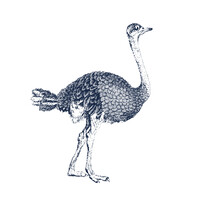 Catherine Mettetal logo - Similar company to Wearesoupape