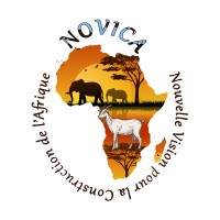 Association NOVICA (Nouvelle Vision pour la Construction de l'Afrique) logo - Similar company to 5D'S