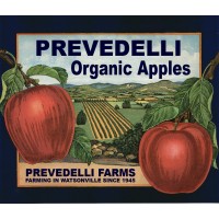 PREVEDELLI FARMS, INC. logo - Similar company to Icicles