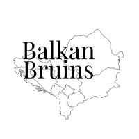 Balkan Bruins logo - Similar company to Northwestern News Network
