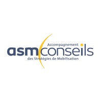 A.S.M. Conseils logo - Similar company to Maidis Sas