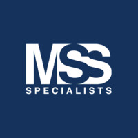Millenium Security Solutions logo - Similar company to Gogazzab