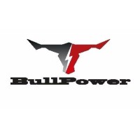 BULLPOWER ( groupe électrogènes ) logo - Similar company to Siegec Groupes Electrogènes