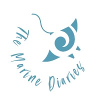 The Marine Diaries logo - Similar company to Arksen