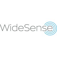 WideSense logo - Similar company to Nng Llc
