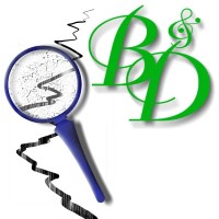 B & D Inspection Services, Inc. logo - Similar company to Northern Inspection Services, Llc