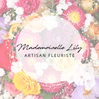 Mademoiselle Lily logo - Similar company to Mosell'Ane