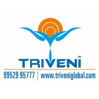 Triveni Global Private Limited India logo - Similar company to Adithya Aqua Tech Solutions