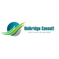 Unibridge Consult Kft. logo - Similar company to Workplus Global - Custom  Solutions