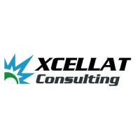 XCellat Consulting, Inc logo - Similar company to Smartofai