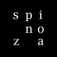SPINOZA logo - Similar company to Breezm Eyewear : Perfect Fit, Crafted Just For You