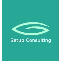 Setup Consulting Group logo - Similar company to P2Wcow Coworking