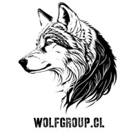 WOLFGROUP logo - Similar company to Wolf Group Global