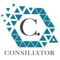 CONSILIATOR SRL logo - Similar company to Arithmetic Inc.