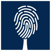 Personal Branding Institut