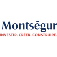 Montsegur Finance logo - Similar company to Nitby