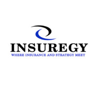 Insuregy Agency Inc., a Division of Marshall+Sterling logo - Similar company to Expert Insurance, Llc