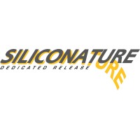 SILICONATURE logo - Similar company to Daehyunst