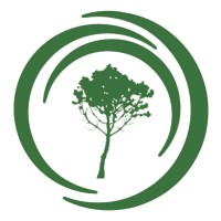Global Forest Observations Initiative logo - Similar company to Silvacarbon