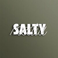 Salty media logo - Similar company to Salty’S Media
