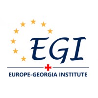 Europe-Georgia Institute logo - Similar company to Tbilisi I. Vekua Physics-Mathematical School 42