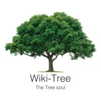 Wiki-Tree App