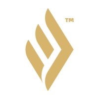 Wingman Launch logo - Similar company to The Ev Guy