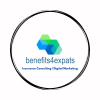 Insurance Consulting | Benefits for Expats Inc logo - Similar company to Benefits For Expats Inc | Insurance Consulting And Digital Marketing