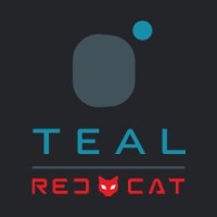 Teal Drones logo - Similar company to Skyborne Technologies
