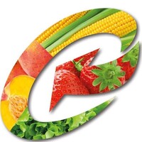 Continvest Ltd logo - Similar company to Promaxsys