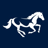 Kava Equity Partners logo - Similar company to Buff Gold Ventures