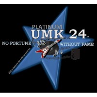 Platinum Hits Entertainment Inc logo - Similar company to The Collective Mg