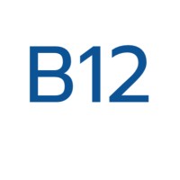 B12 Group logo - Similar company to St Augustine'S Ce High School