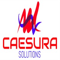 Caesura Solutions logo - Similar company to Caesura Cs