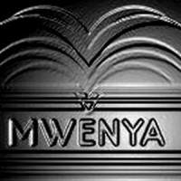 Mwenya Business Services logo - Similar company to Brone Consulting