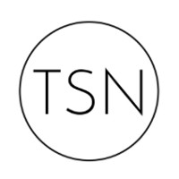 TSN Group, Inc. logo - Similar company to Tsn Group - Engineering Company Established In 1995 In St.Petersburg, Russia