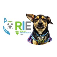 RIE logo - Similar company to Calitherm