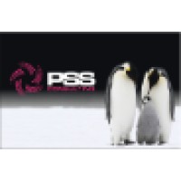 PSS Consulting Services Ltd logo - Similar company to Pss Consulting