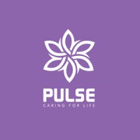Pulse Medicare Hospital Pvt Ltd logo - Similar company to The Fysit