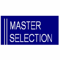Master Selection logo - Similar company to Prime Search