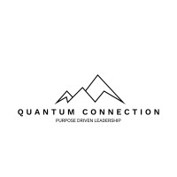 Quantum Connection logo - Similar company to Techhive Technology