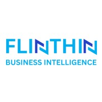 FLINTHIN Business Intelligence logo - Similar company to Qeasys Technologies