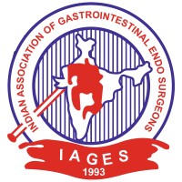IAGES logo - Similar company to Csi Pesmcoe